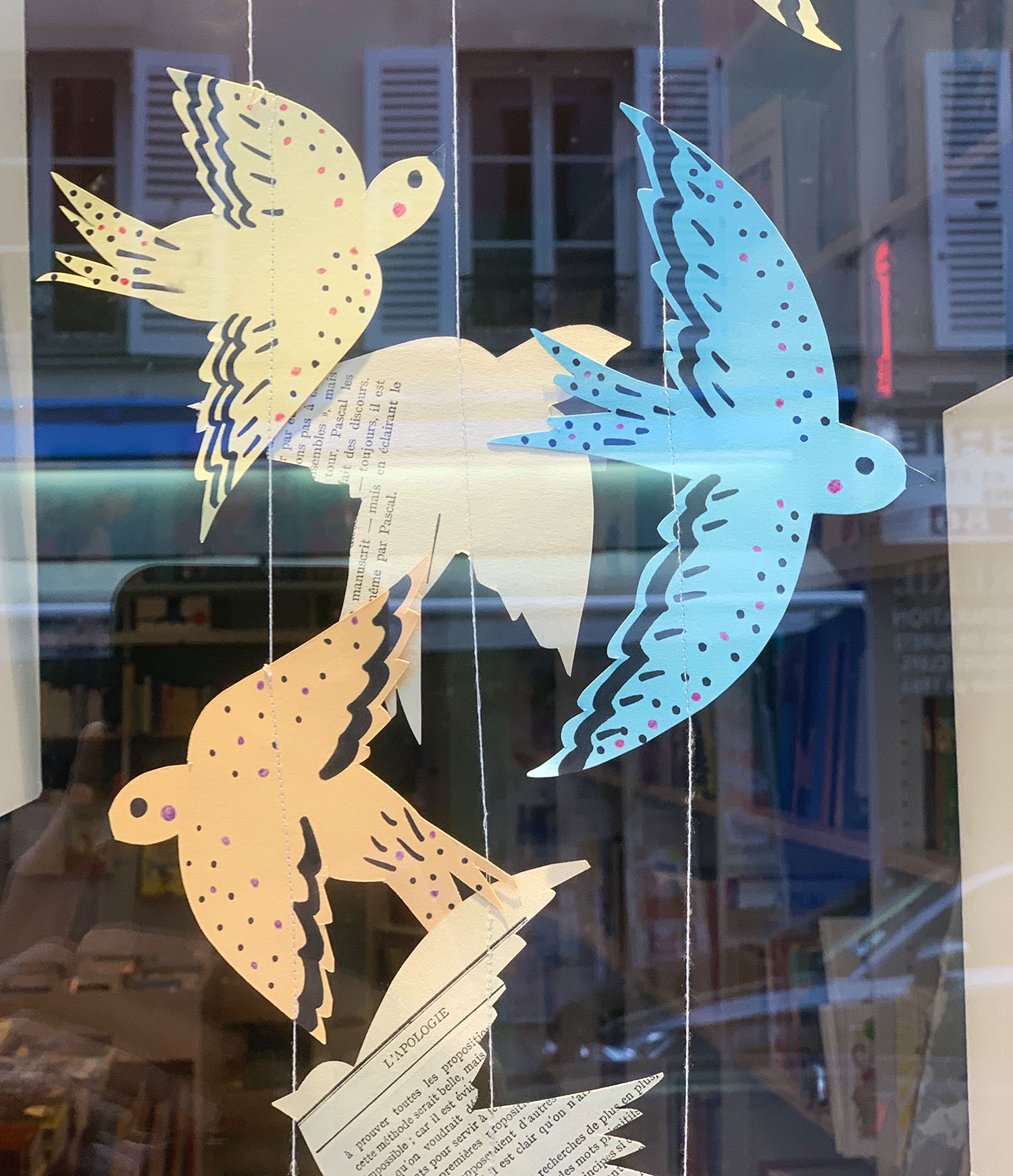 décoration vitrine librairie oiseaux