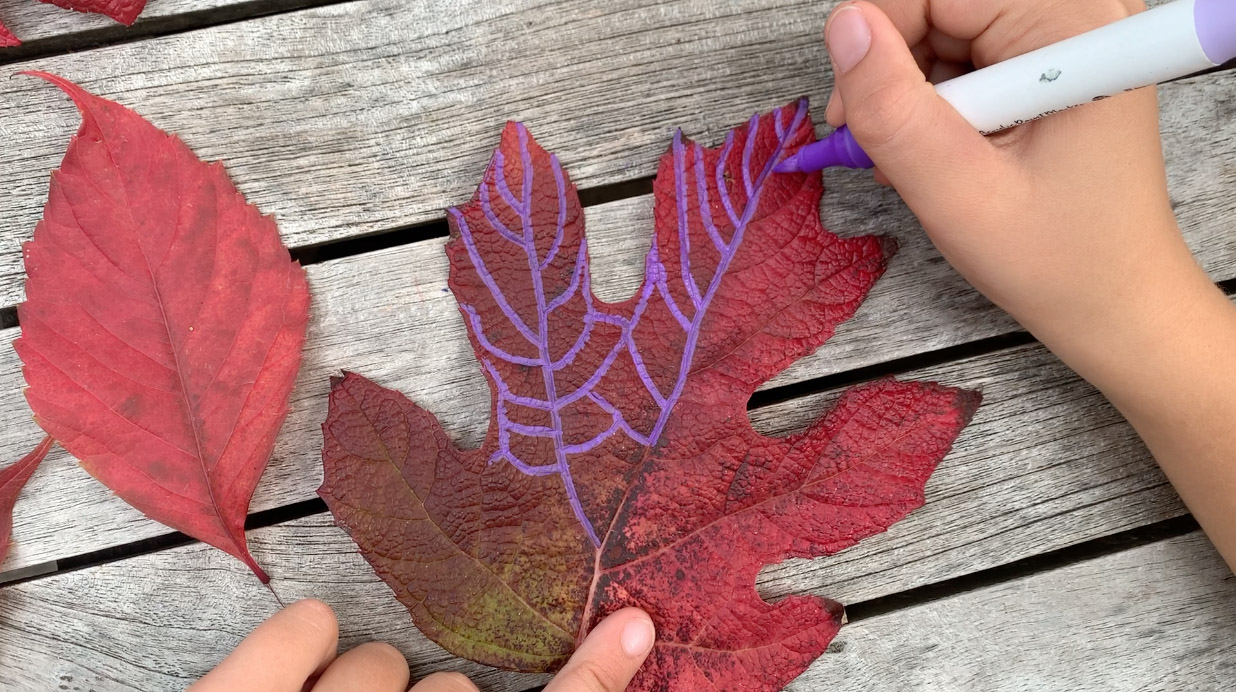 atelier feuilles automne